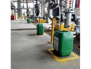 選擇欣越，我們很放心